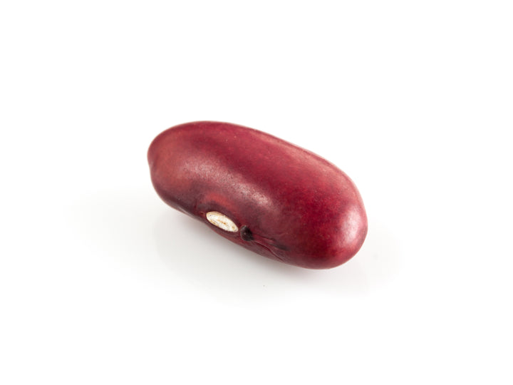 Kidneybohne