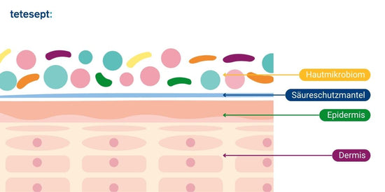 Infografik Hautmikrobiom